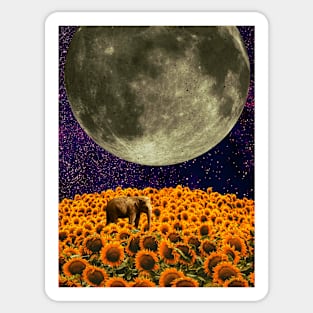 The last survivor on Sunflower planet. Sticker